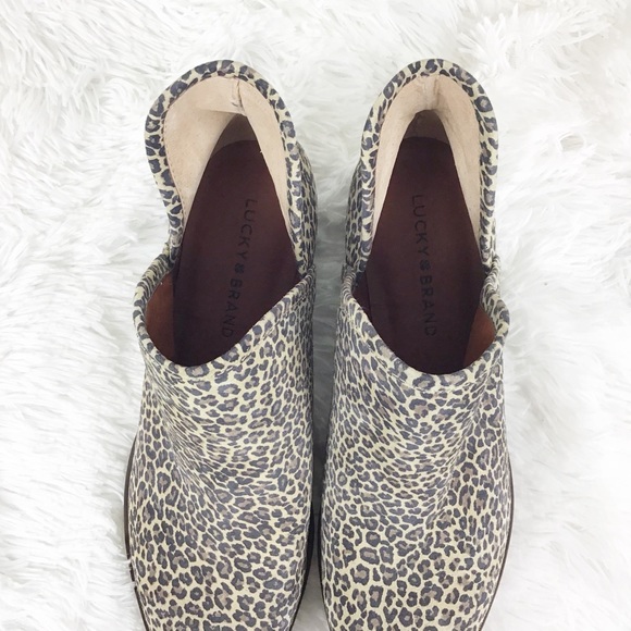 lucky bashina leopard